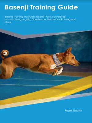 cover image of Basenji Training Guide Basenji Training Includes